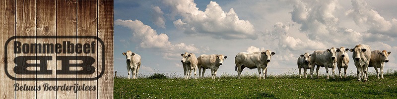 Nieuwsbrief maart 2017